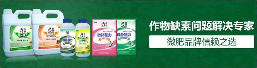 #微肥課堂#為什么葉面肥養(yǎng)分含量相同，效果卻不同？