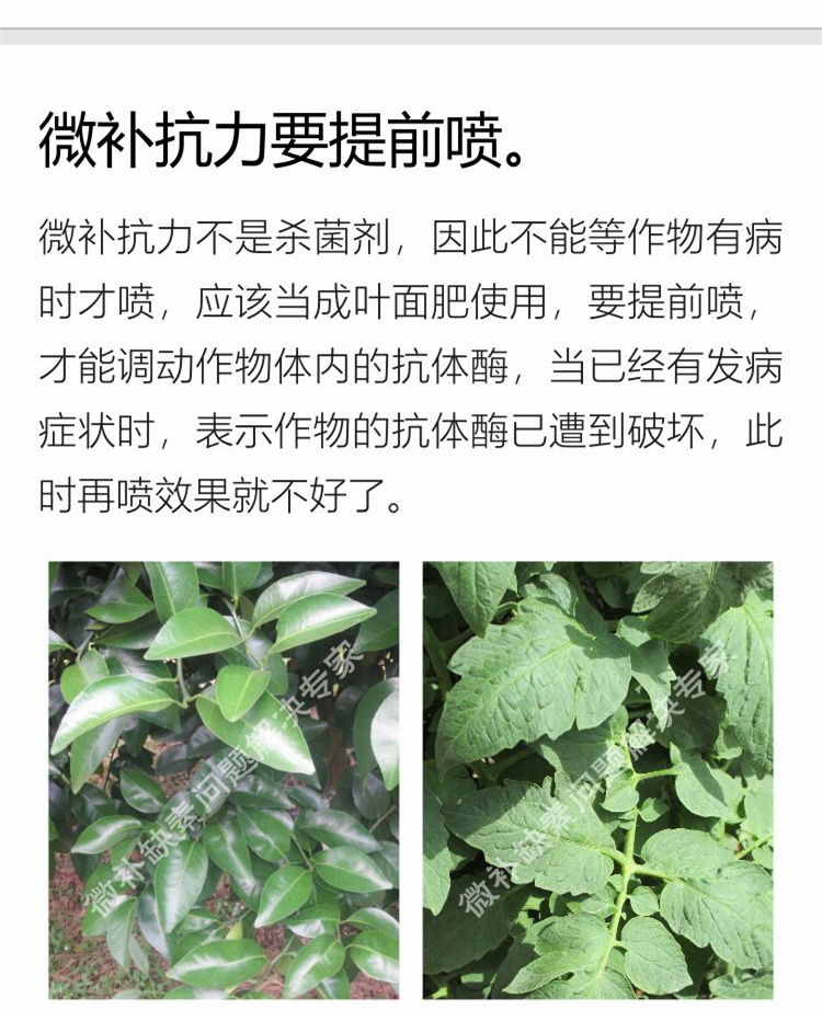 28微補(bǔ)抗力sj750_副本7.jpg