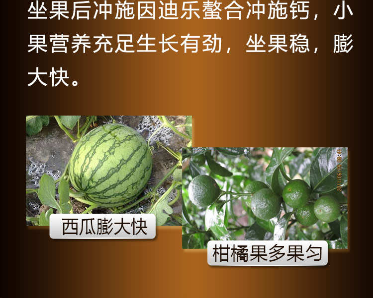 14因迪樂(lè)螯合沖施鈣【手機(jī)版】_10.jpg