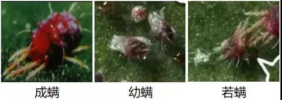 微信圖片_20200205121553.jpg 微信圖片_20200205121553.jpg