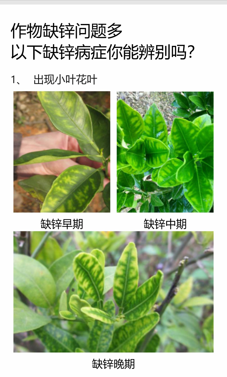 微補(bǔ)螯合鋅750_03.jpg