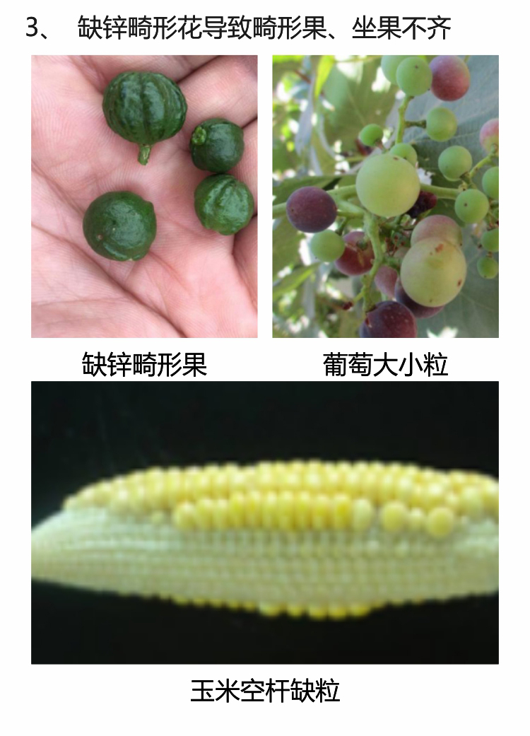 微補(bǔ)螯合鋅750_05.jpg