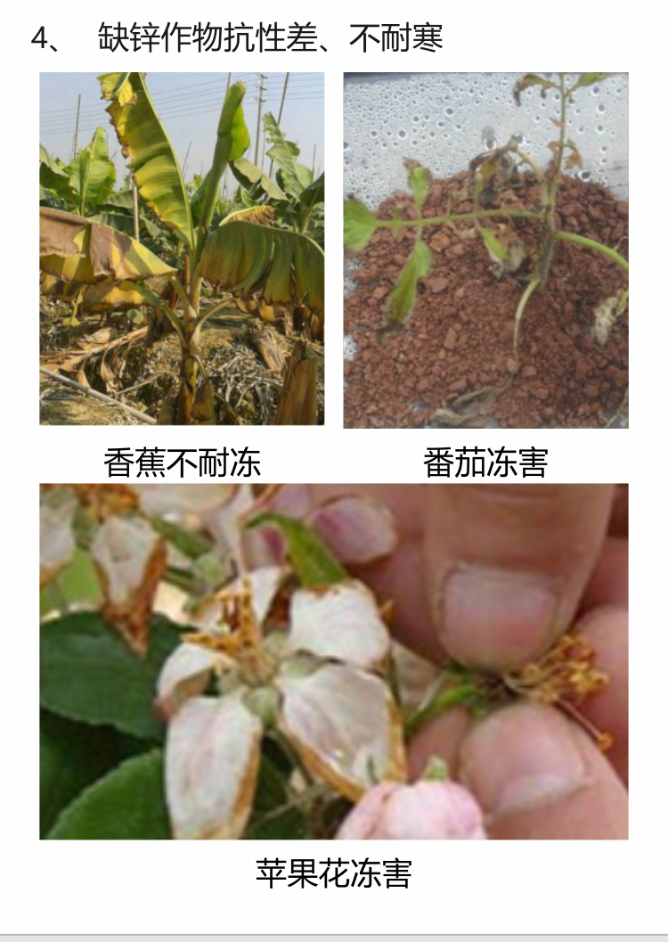 微補(bǔ)螯合鋅750_06.jpg