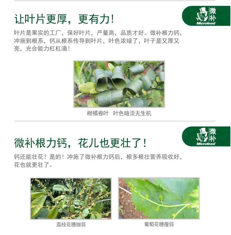 微補根力鈣_03.jpg