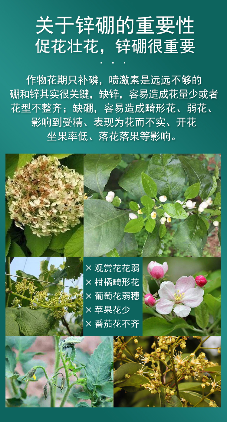微補花力_02.jpg
