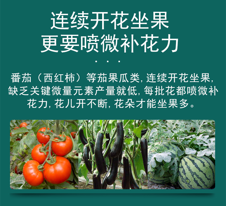 微補花力_08.jpg