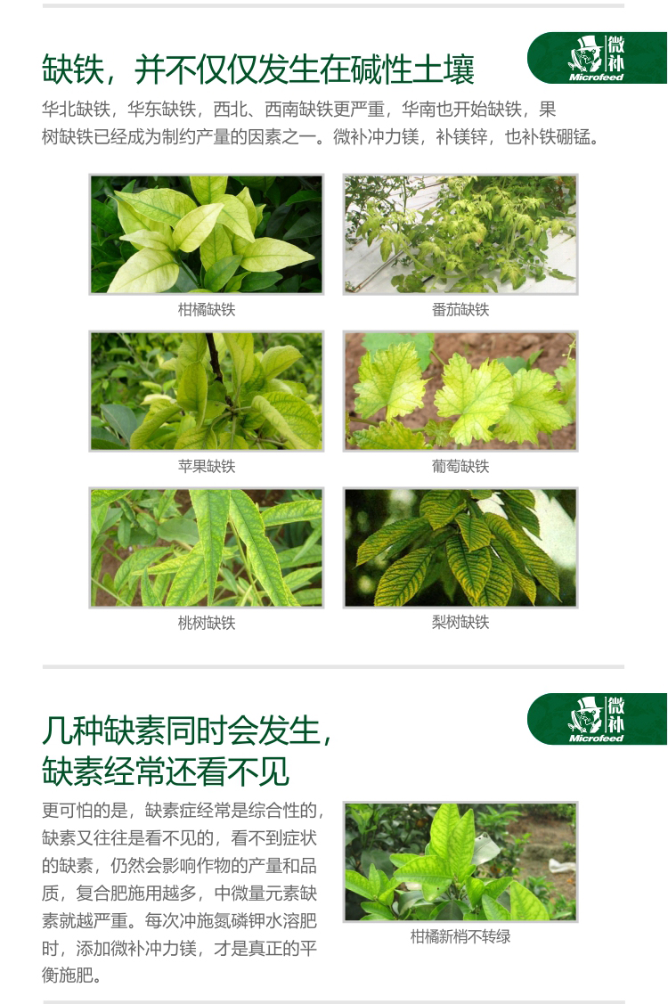微補沖力鎂_04.jpg
