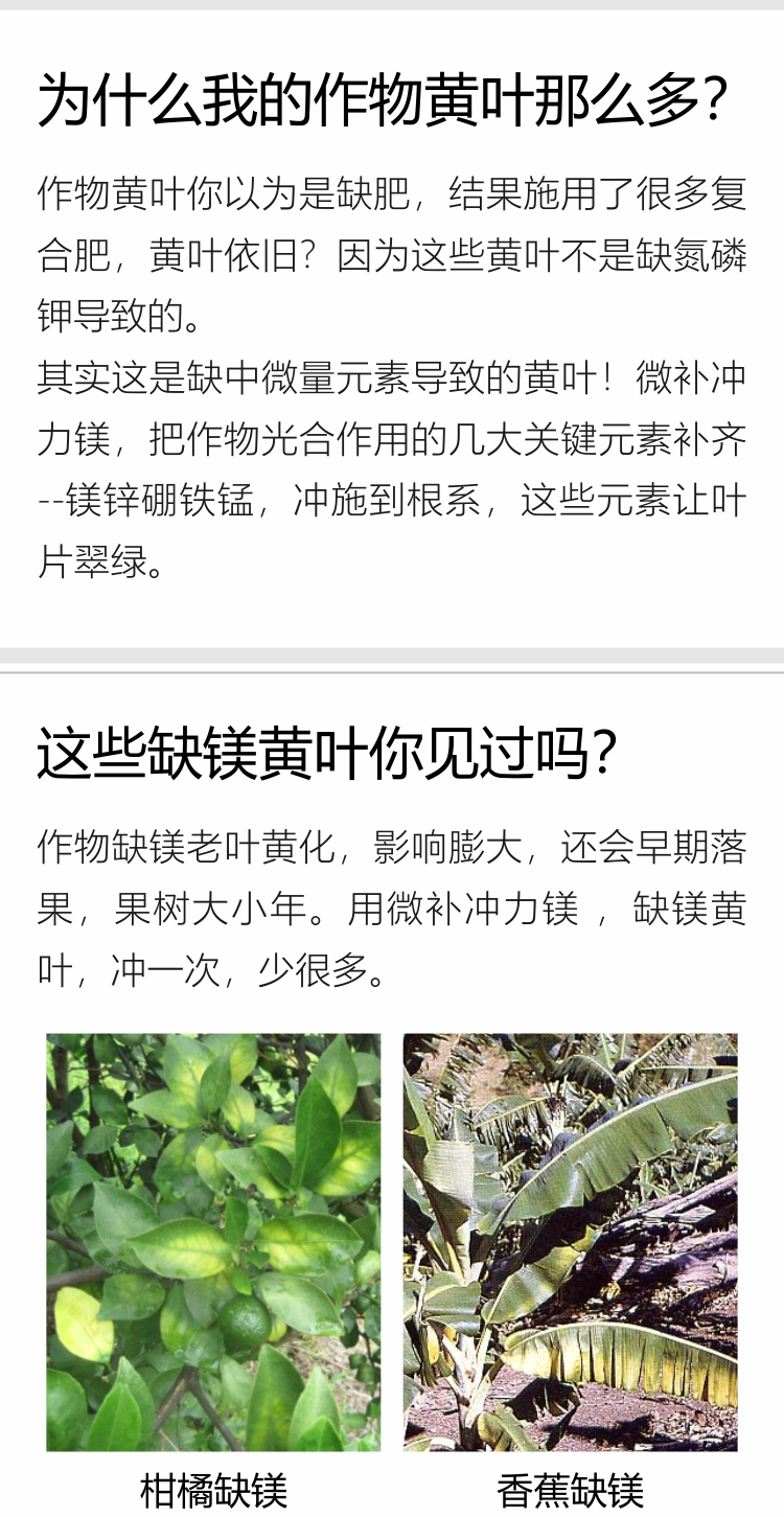 微補(bǔ)沖力鎂1_02.jpg