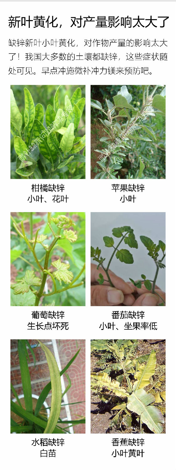 微補(bǔ)沖力鎂1_04.jpg
