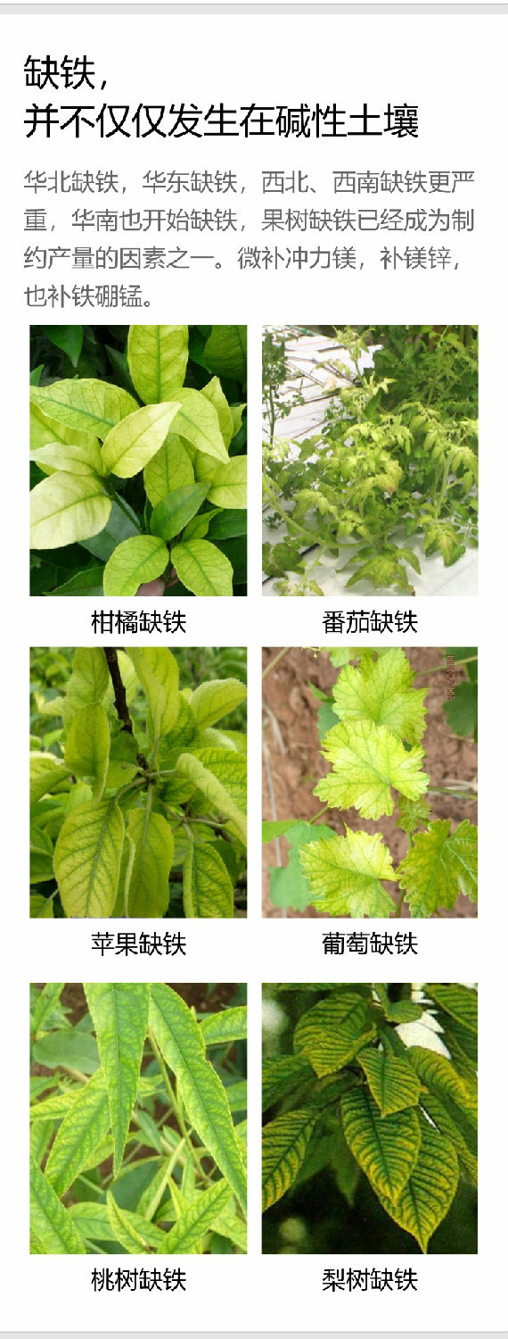 微補(bǔ)沖力鎂1_05.jpg