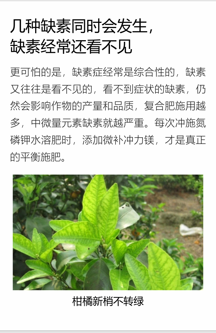 微補(bǔ)沖力鎂1_06.jpg
