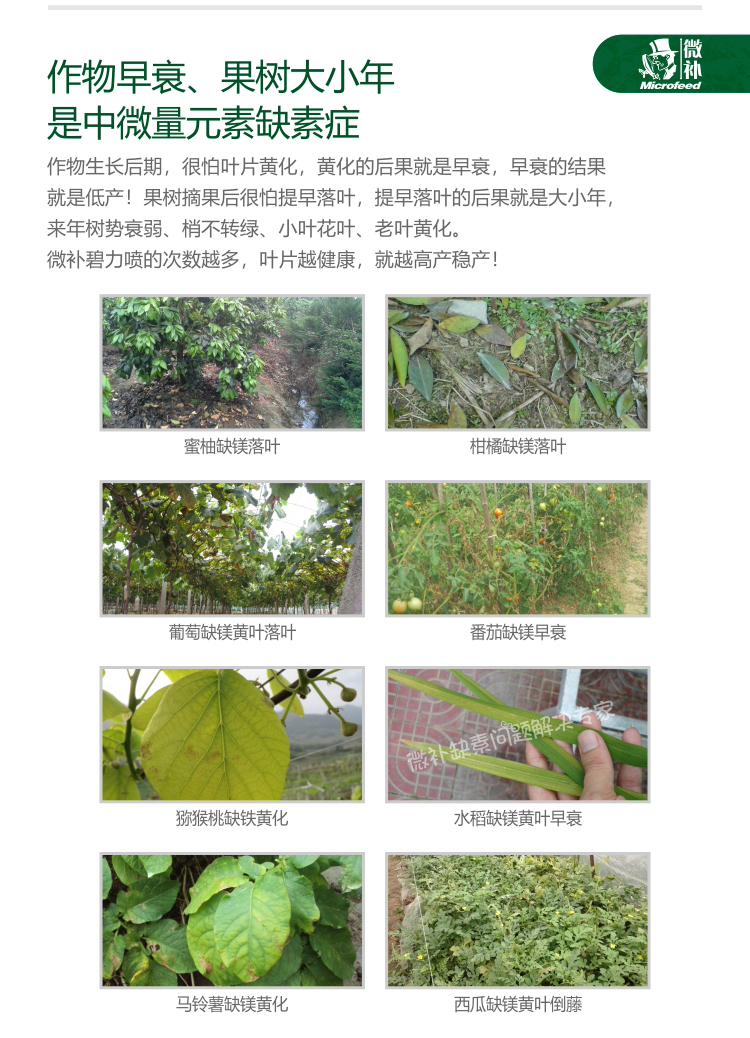 微補(bǔ)碧力【】_04.jpg