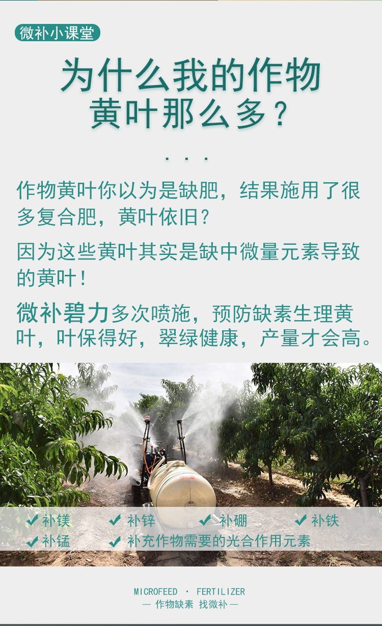 微補碧力_02.jpg