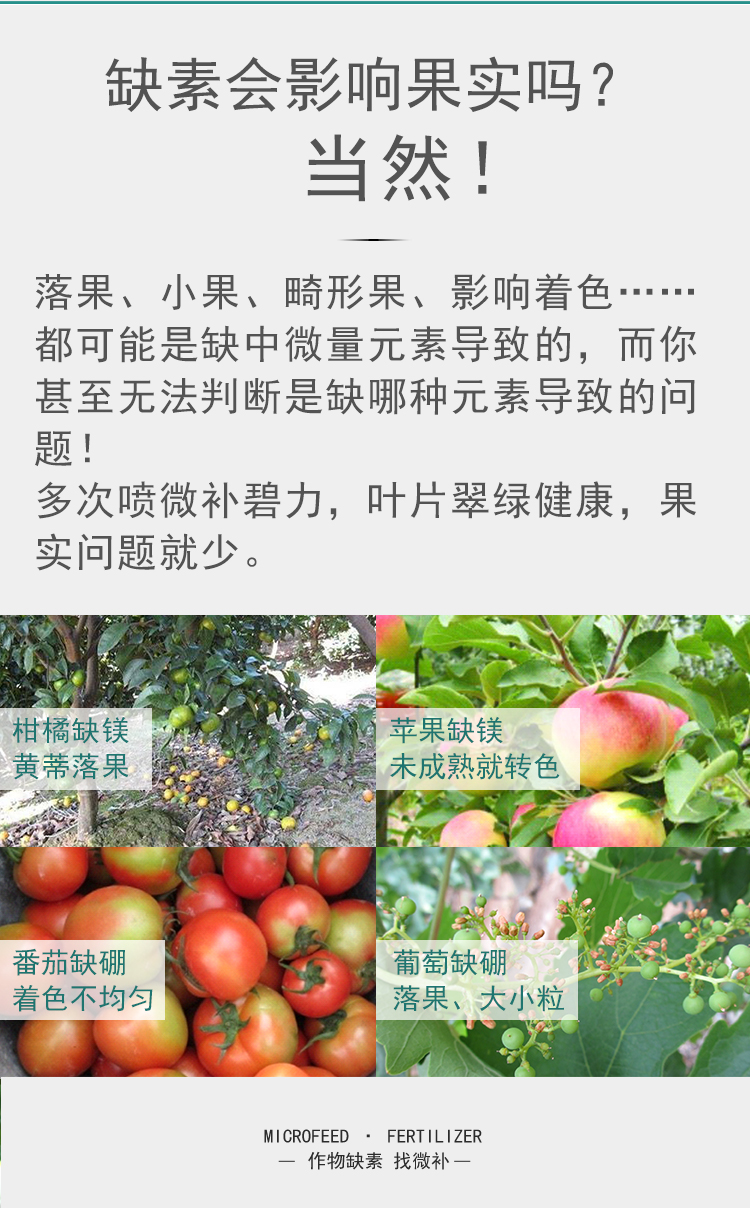 微補碧力_05.jpg