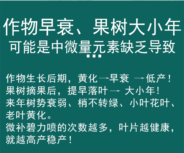微補碧力_06.jpg