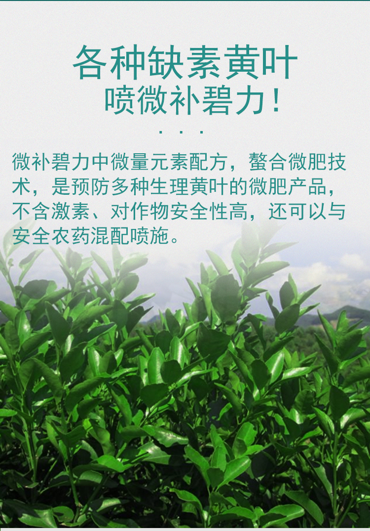 微補碧力_08.jpg
