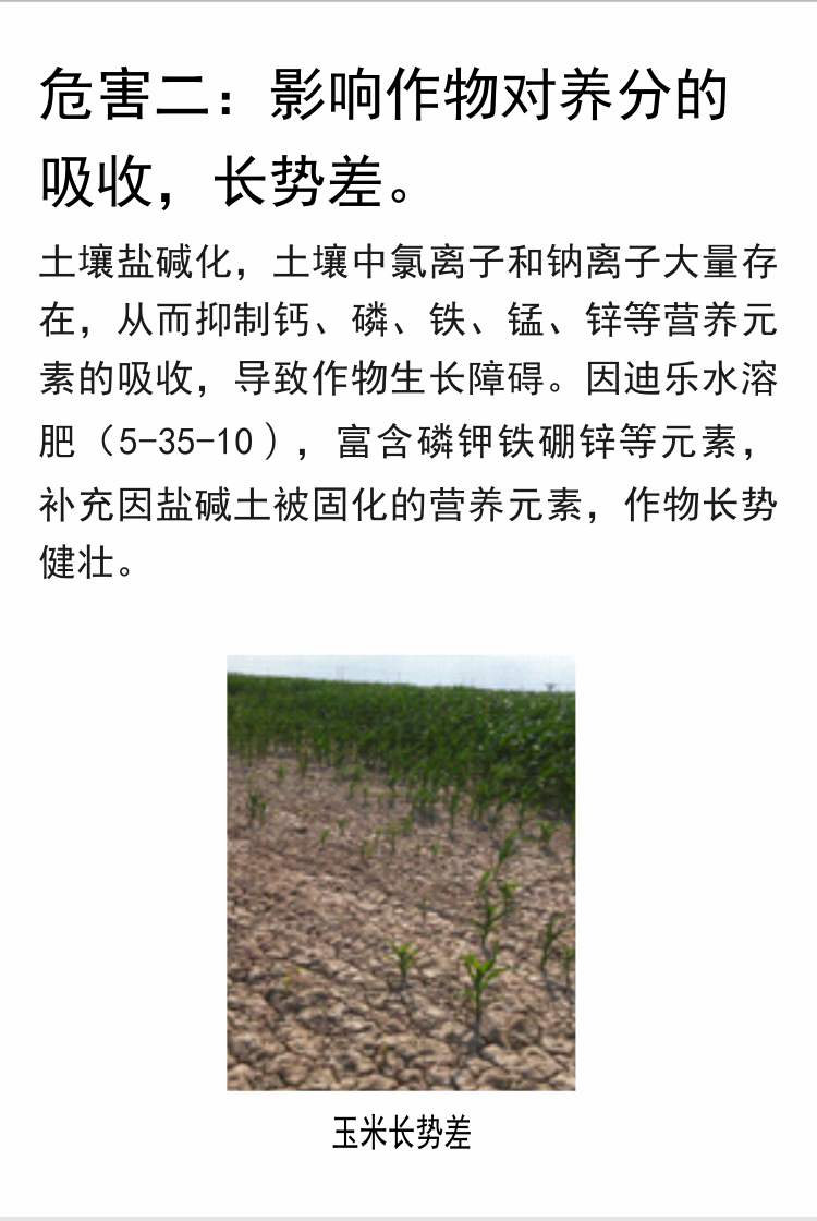 因迪樂有機(jī)鹽堿土調(diào)理水溶肥_05.jpg