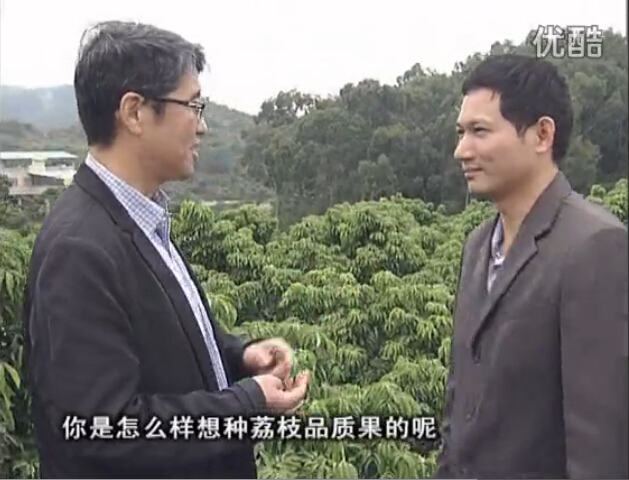20160104珠江臺搖錢樹：補充所需微補營養(yǎng)，種出品質(zhì)荔枝，提高收益賣價！