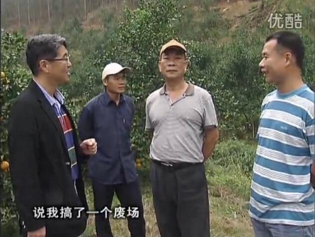 20160118珠江臺搖錢樹：貢柑用微補全年營養(yǎng)方案，黃樹翻身還高產(chǎn)增果