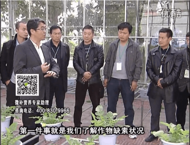 20160418珠江臺(tái)搖錢樹：和重慶種植業(yè)主走進(jìn)微補(bǔ)，探秘微補(bǔ)生產(chǎn)研發(fā)技術(shù)
