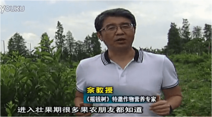 20160620珠江臺(tái)搖錢樹：柑橘淋微補(bǔ)調(diào)力、噴蓋力+壯力，調(diào)酸壯長勢(shì)、膨果防裂好