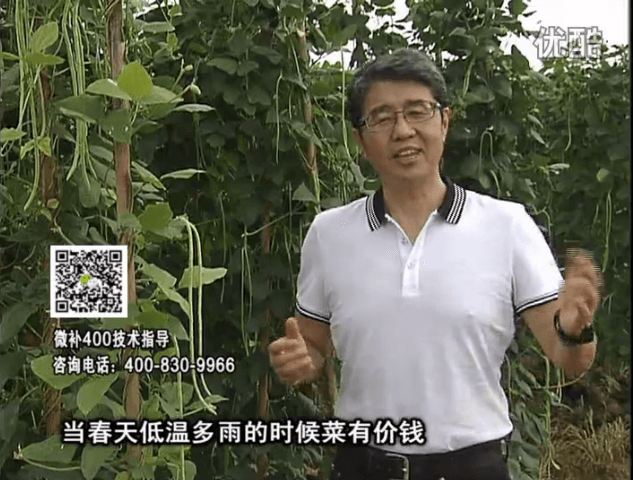 20160704珠江臺搖錢樹：蔬菜用微補(bǔ)方案，省肥藥又保產(chǎn)
