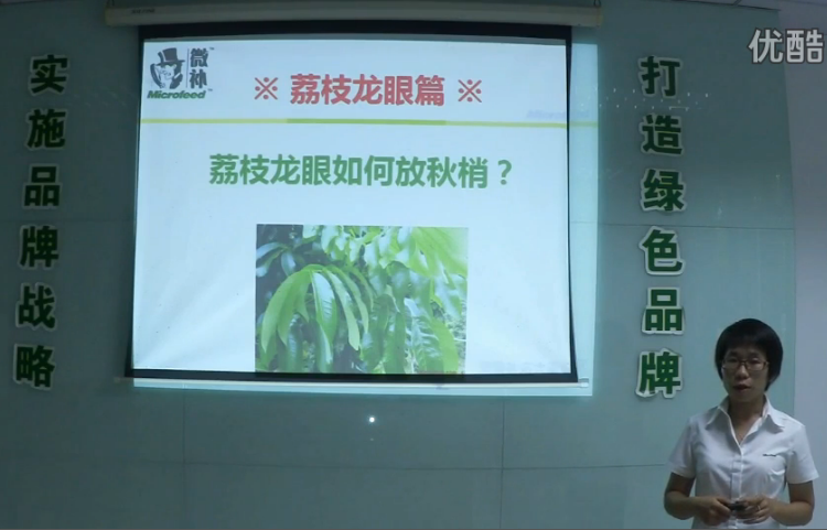 荔枝龍眼-采后樹弱、秋梢不壯怎么辦？請看微補(bǔ)講座
