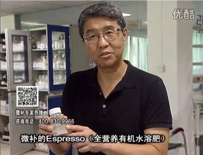 20160822珠江臺(tái)搖錢樹：柑橘秋梢淋沖因迪樂精華粉，補(bǔ)充有機(jī)營養(yǎng)，健壯果樹