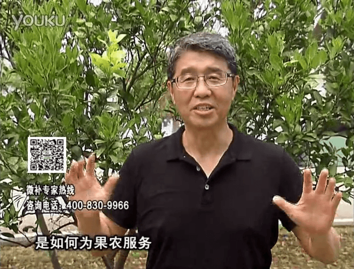 20160912珠江臺搖錢樹：針對果場面積、缺素營養(yǎng)、設(shè)施管理、投入產(chǎn)出，微補(bǔ)做個(gè)性化定制服務(wù)