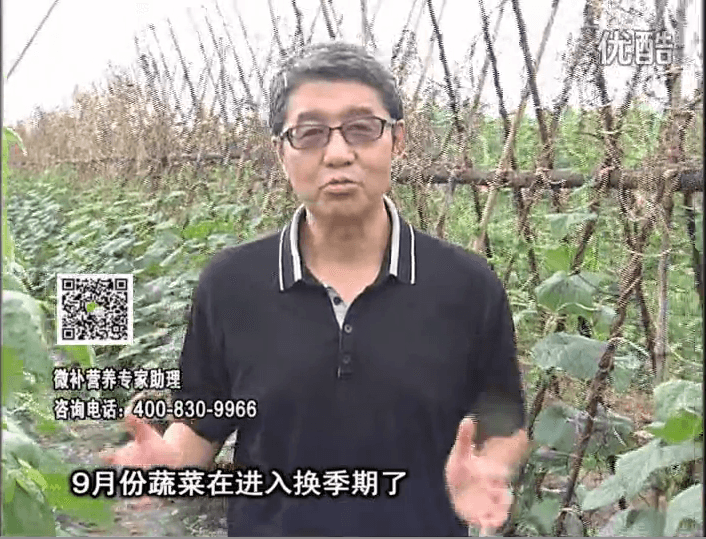 20160926珠江臺搖錢樹：換季蔬菜淋根力鈣精力促根壯長，淋微補(bǔ)調(diào)力調(diào)酸減少病害