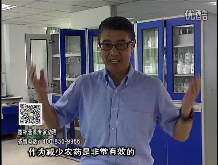 20161024珠江臺搖錢樹：種植作物調(diào)酸、平衡營養(yǎng)、提高抗病力能大大降低病害發(fā)生和農(nóng)藥使用量