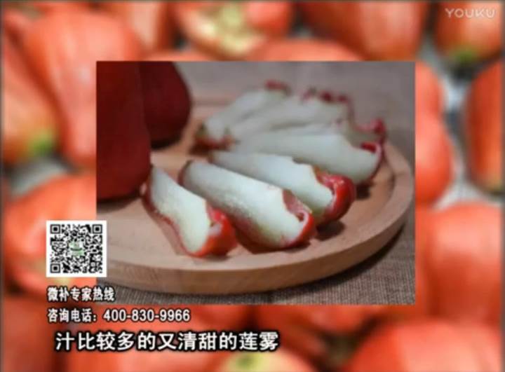20170424珠江臺搖錢樹：蓮霧淋沖微補水肥，壯長、提高果實品質(zhì)賣價