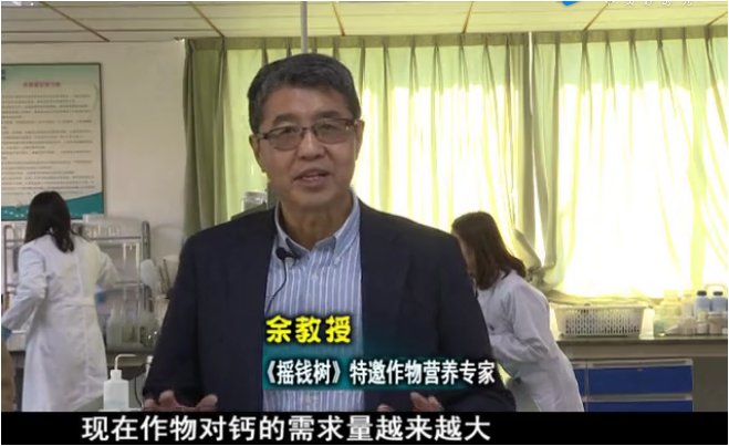 20180226珠江臺(tái)搖錢樹(shù)：如何解決作物缺鈣問(wèn)題