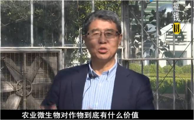 20180305珠江臺(tái)搖錢樹(shù)：生物防控減少病害?