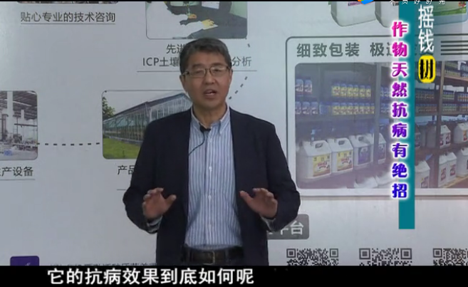 20180319珠江臺(tái)搖錢樹(shù)：如何提高作物免疫力
